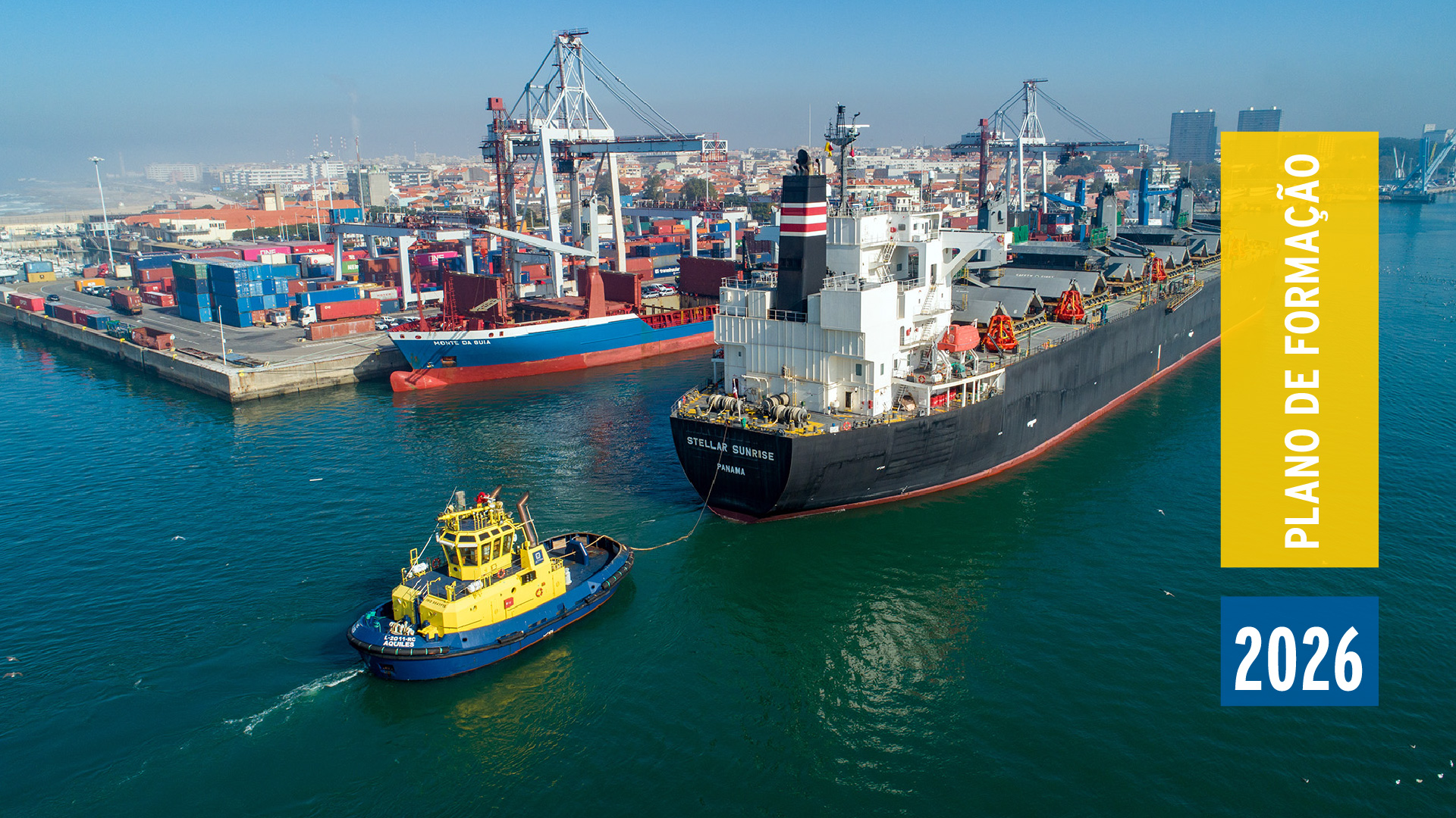 PF 2026Artboard 1 Copy