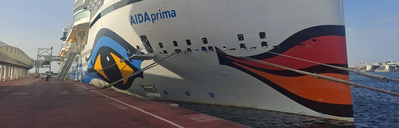 AIDA 1